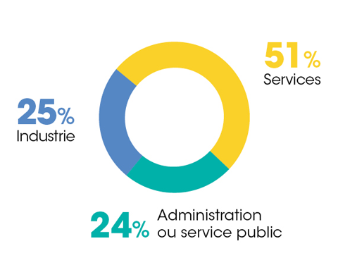 Camembert de répartition de l'enquête DIRCOMS